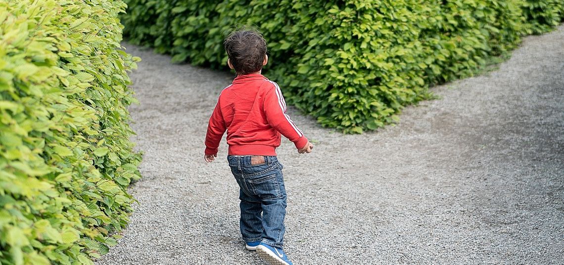 Child in hedge maze
